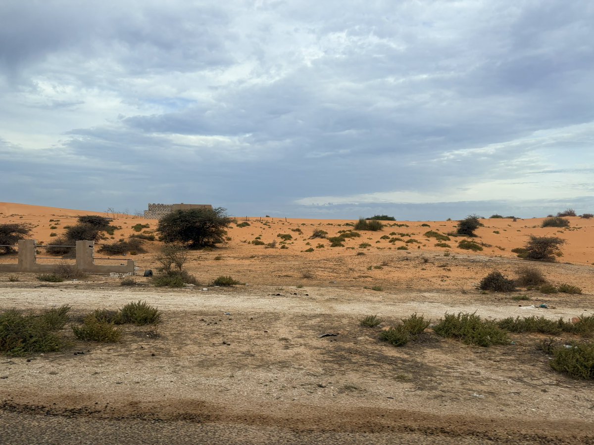 上田晃司 tweet media