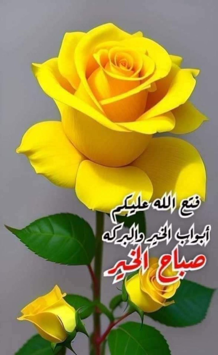 هند الحجي tweet media