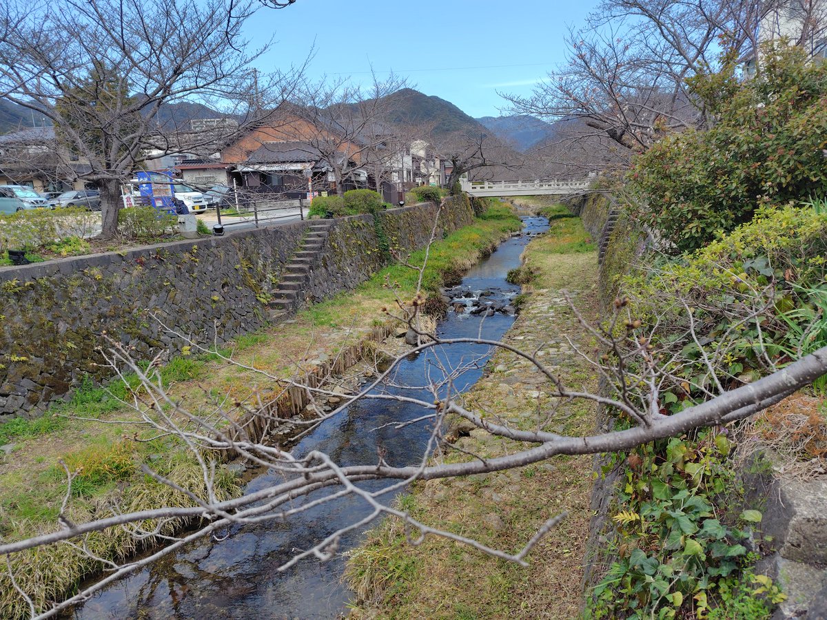 takchaser's tweet photo. ひさびさに山口市に
昔と変わらない和菓子にうどん
最高ですね
さくらはまだすこし早かったみたい
#山口市
#外郎　
#うどん
#一の坂川 https://t.co/H81Tz04FUn
