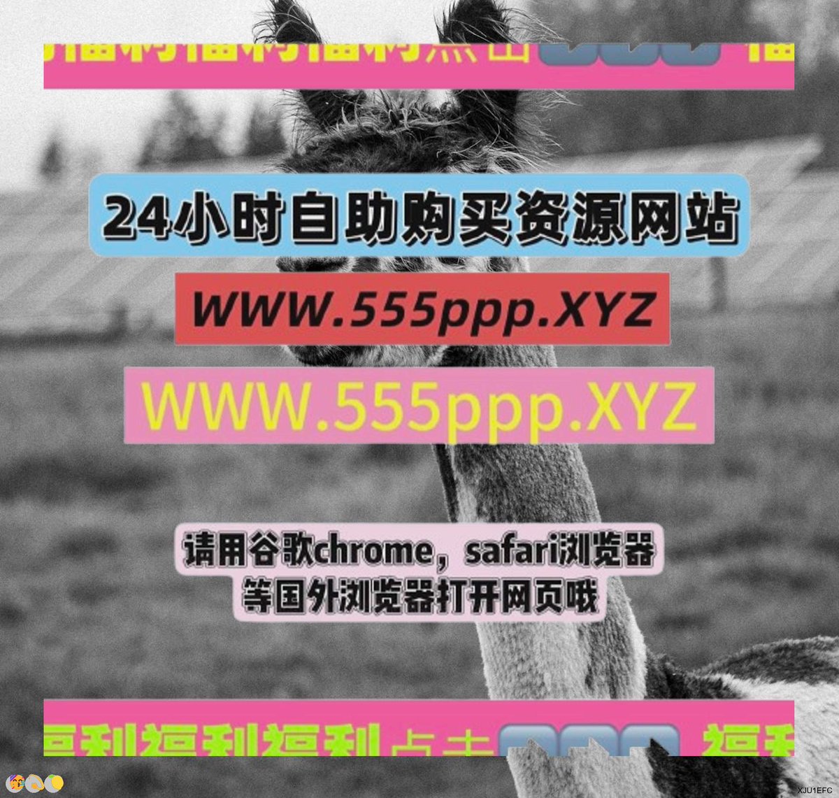 HernandezK6568's tweet photo. 海豚高潮 小宝探花0810 蕾塞 https://t.co/D1MLRoJk70