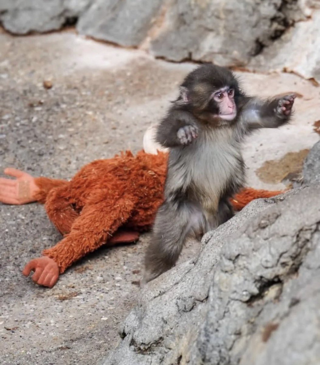 baekhyun_a tweet media