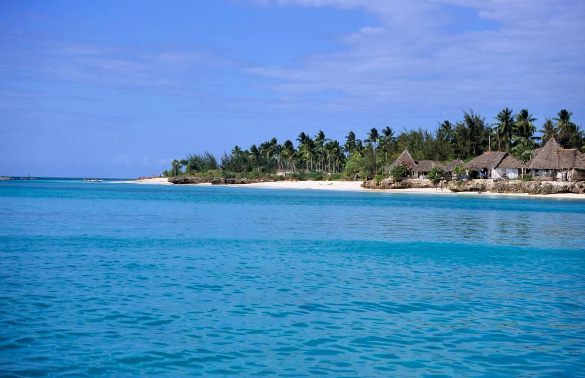 Rushtrektour's tweet image. Turquoise waters, white sands, and pure island bliss 🌴✨
Welcome to the beauty of Zanzibar — your perfect escape after safari.
Travel with RushTrek Tours and turn your dream holiday into reality.

#Zanzibar #TanzaniaTravel #BeachParadise #AfricanSafari #SafariAndBeach