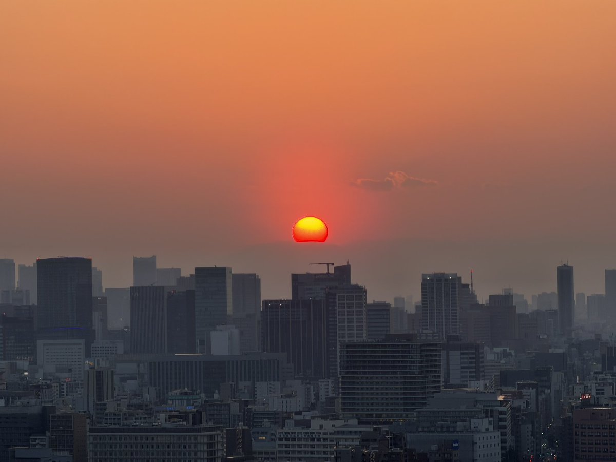 いろはまる@DX支援CEO tweet media