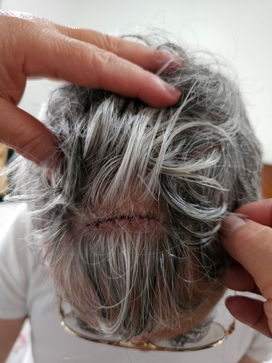 Observatorio de Estado de Derecho en la calle CDMX tweet media