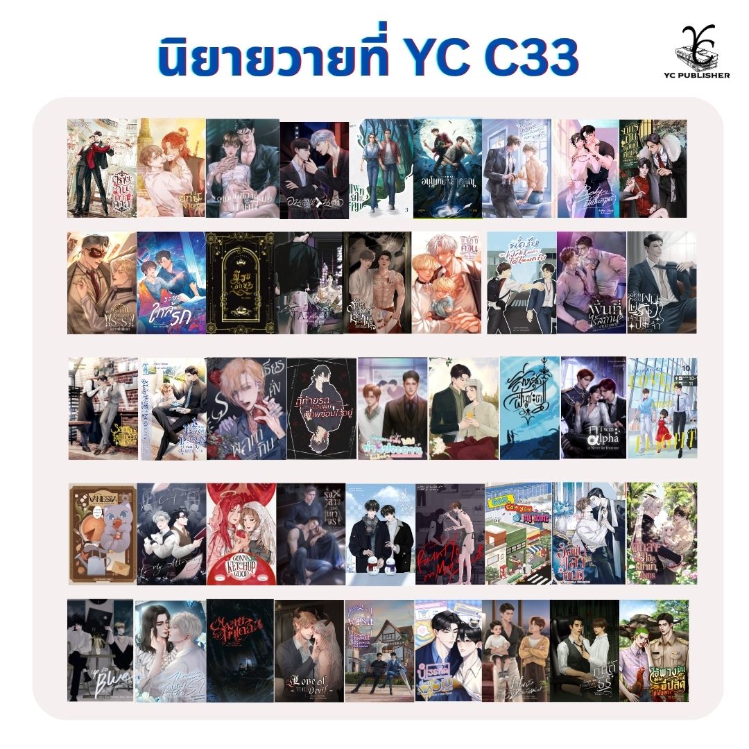 YC Publisher C-33 tweet media