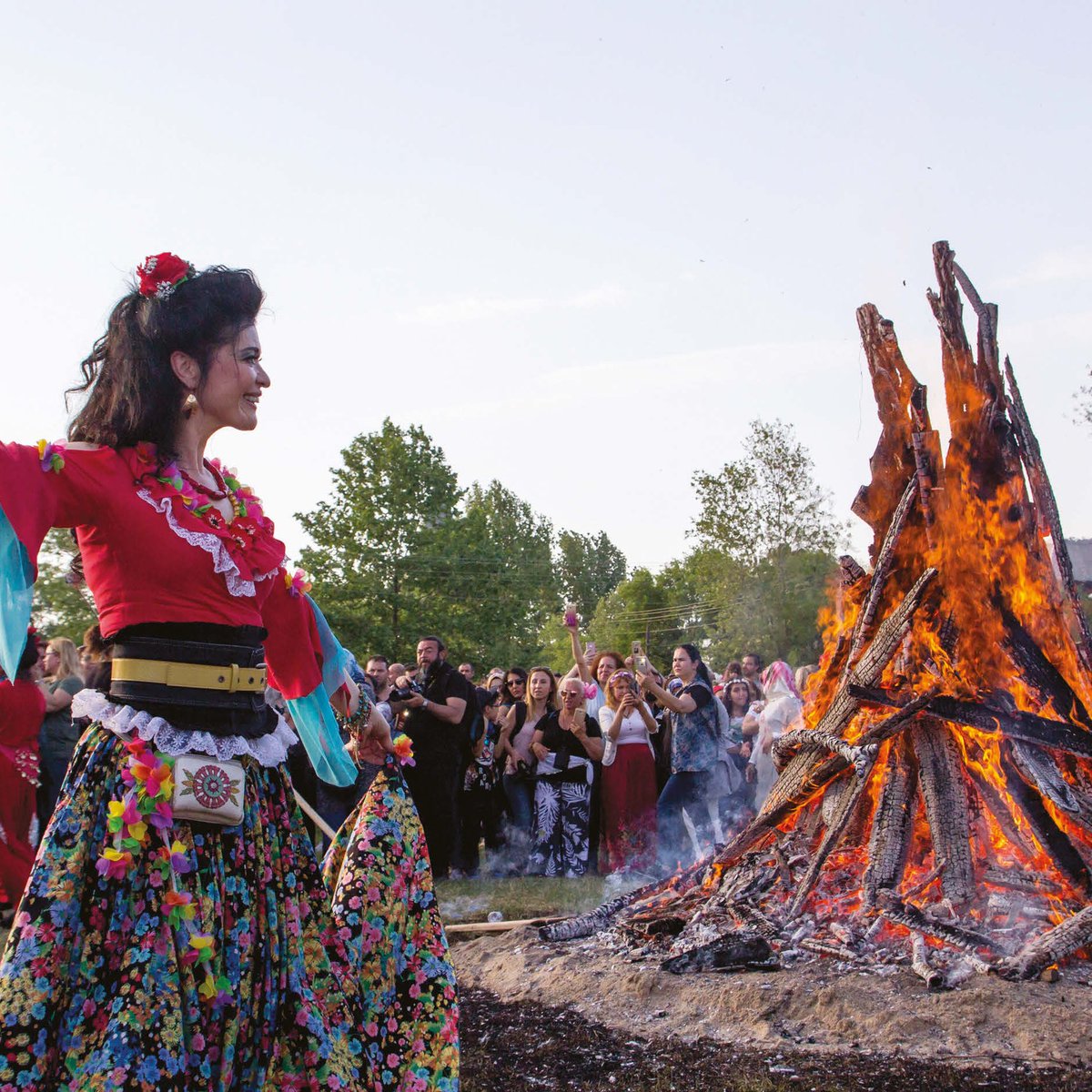 Gusholder Haber Bülteni tweet media