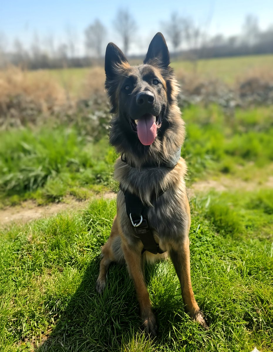 Laurent L tweet media