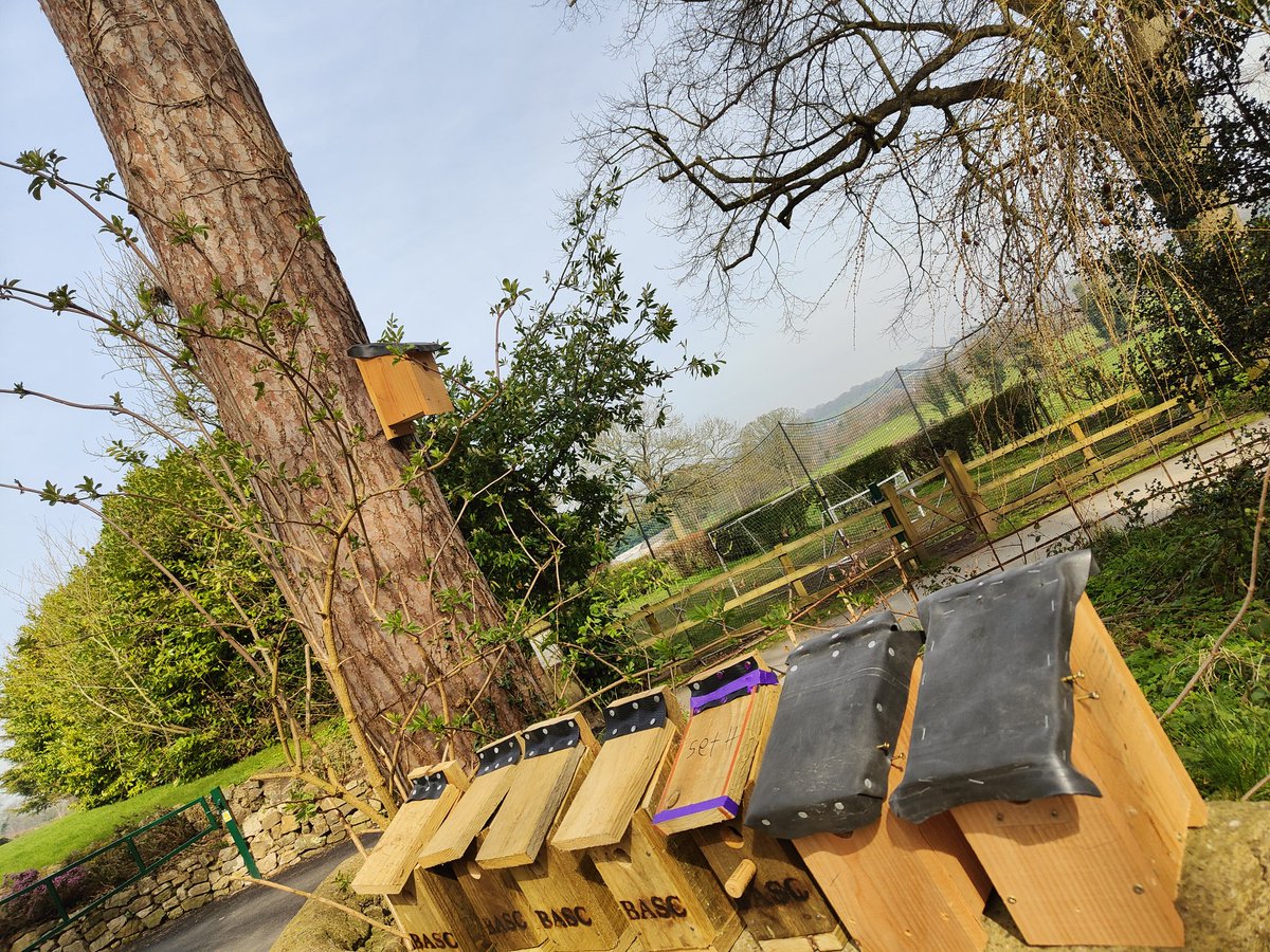 Gav Cass tweet media