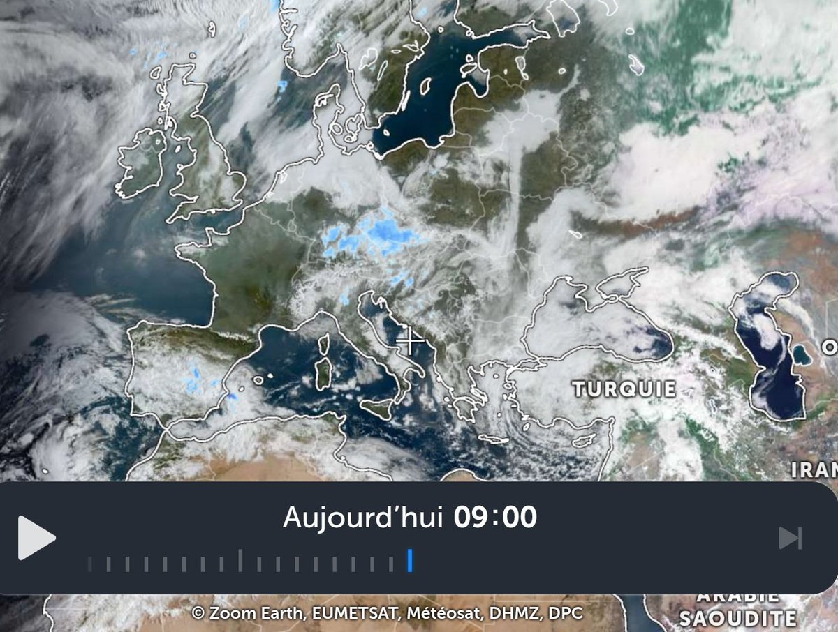 CielClair tweet media