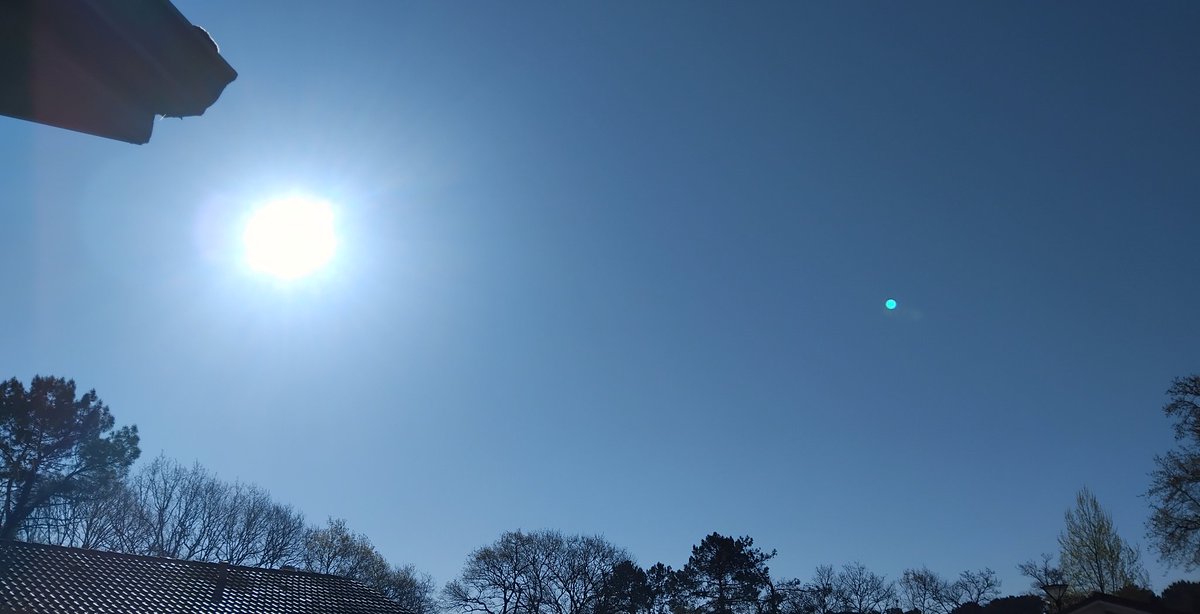 CielClair tweet media