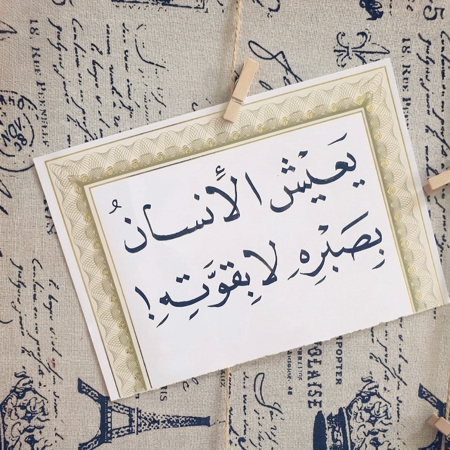 هُدُوء | سُكُون tweet media