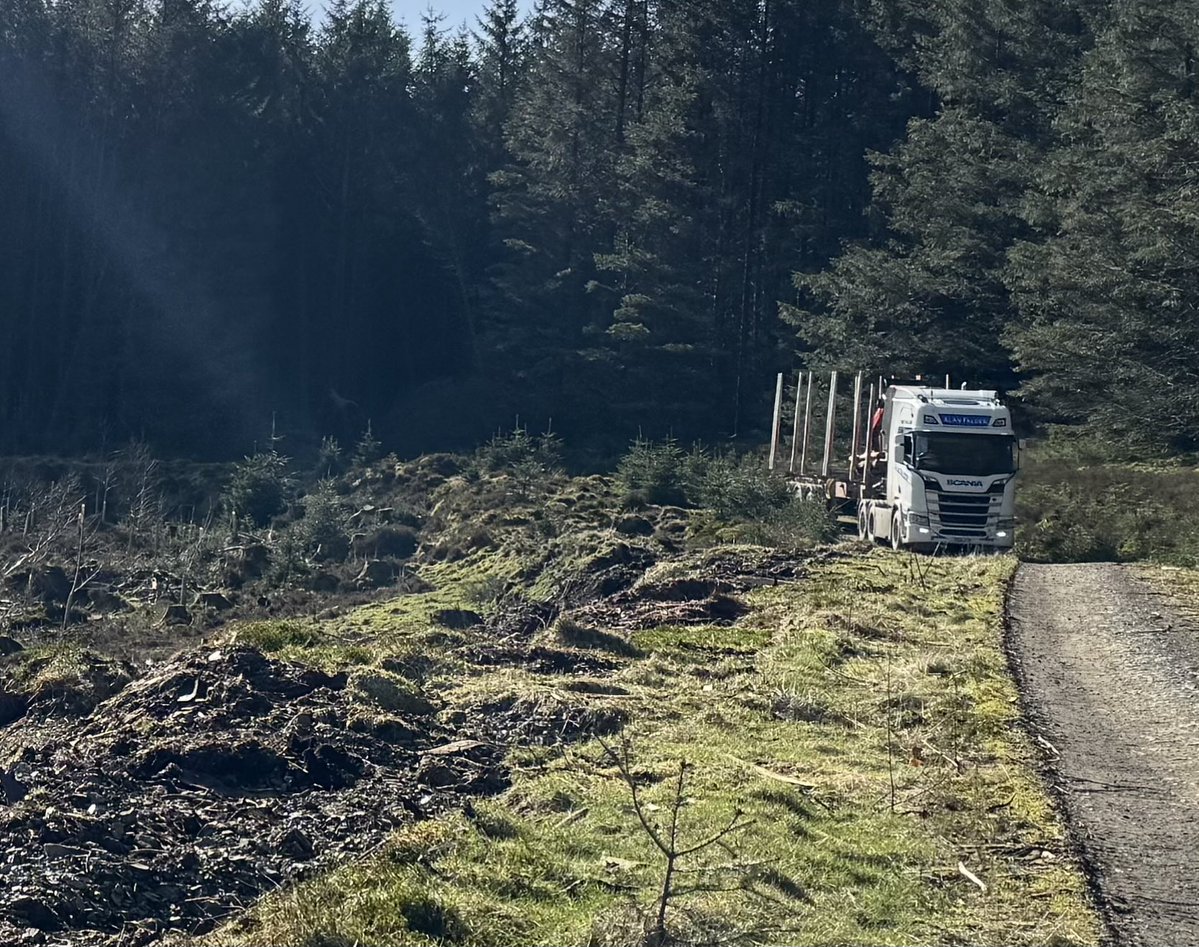 Denis Robson tweet media