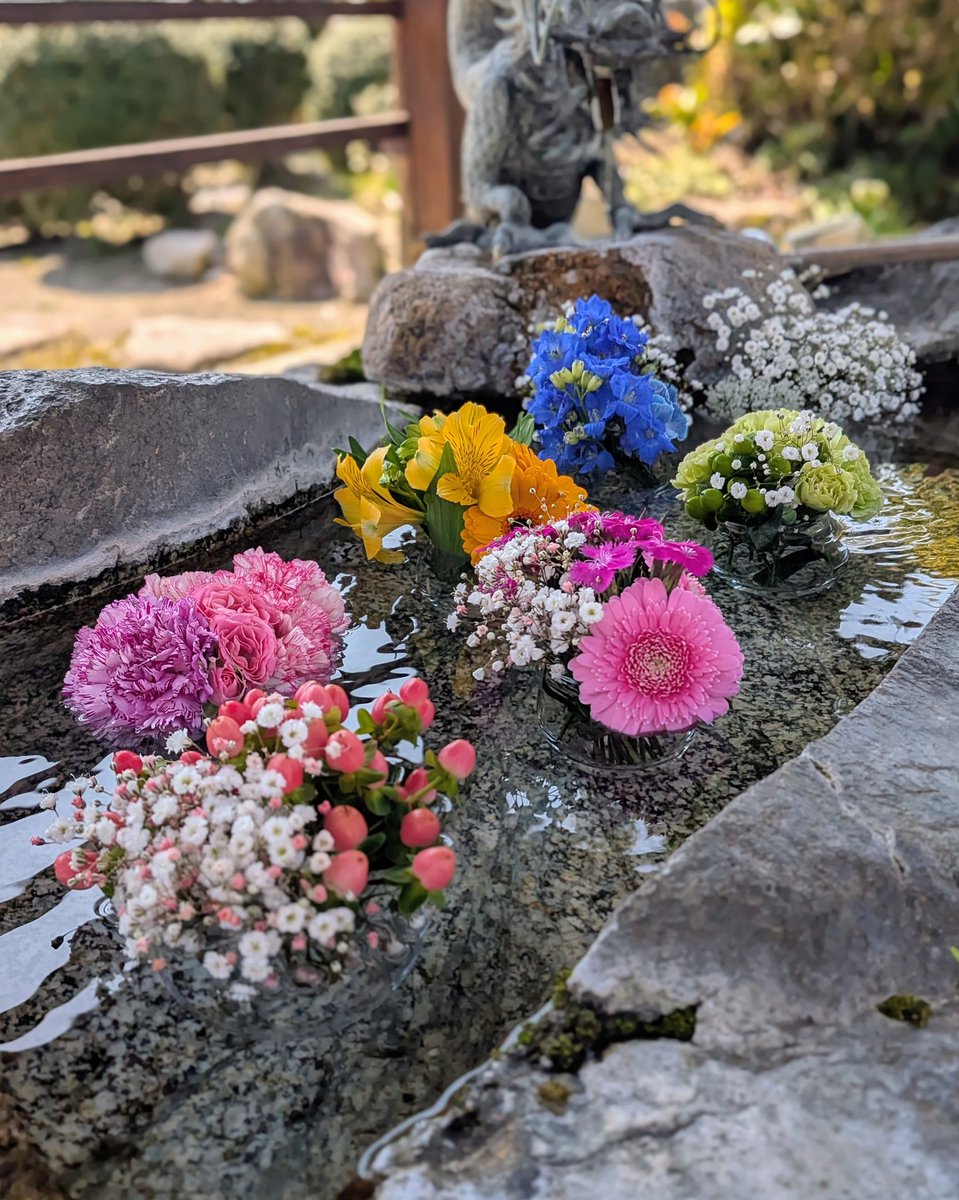 🪷keiko🪷いつもありがとうございます🦔 tweet media