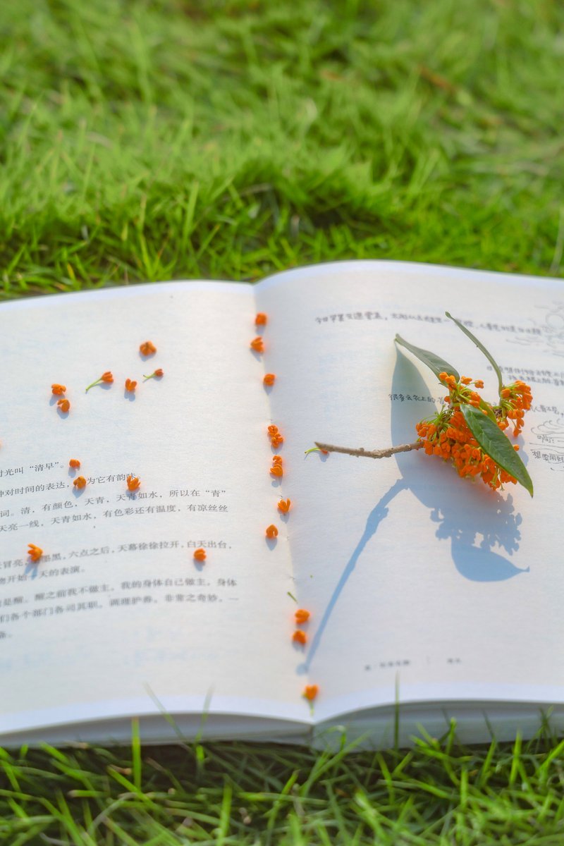 Юлия Ленц tweet media