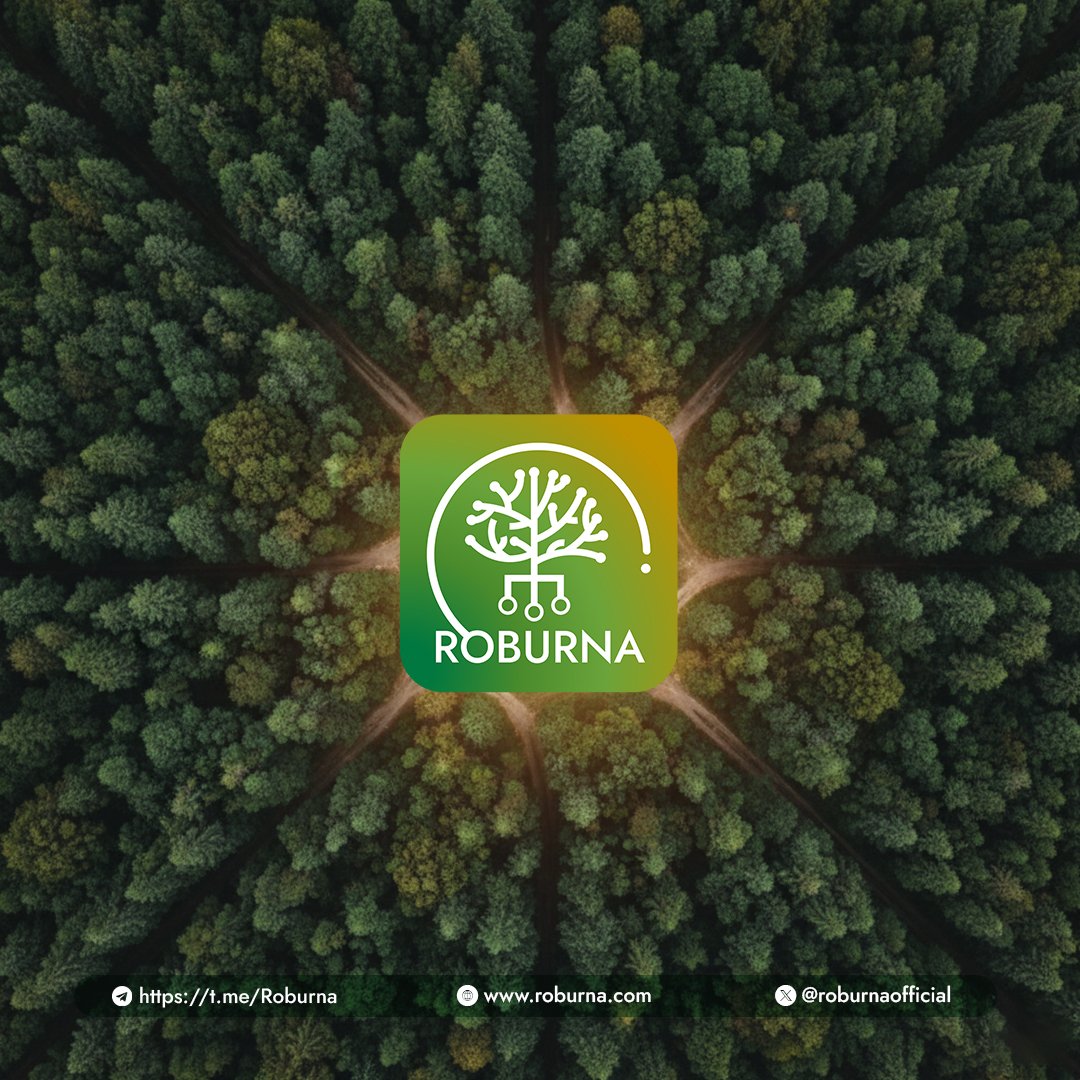 ROBURNA🌳 tweet media