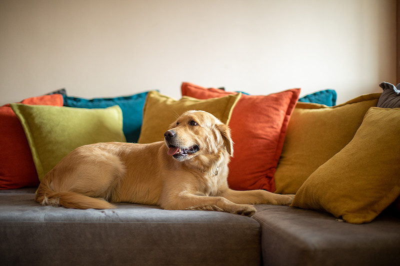 Ted Damayo tweet media