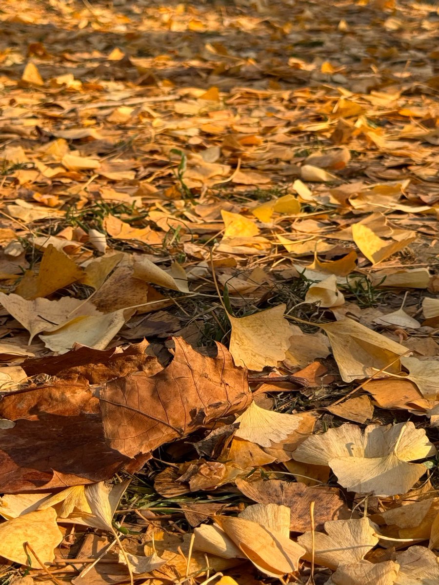 Brian Little tweet media