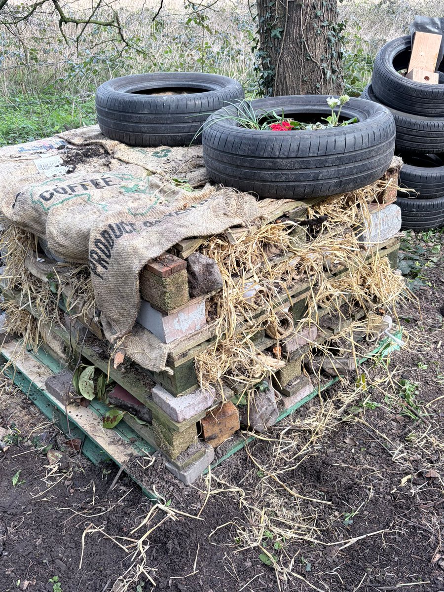 Gav Cass tweet media