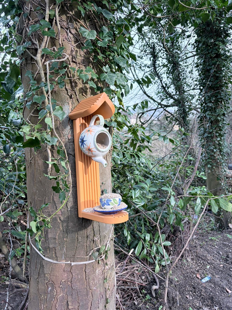 Gav Cass tweet media