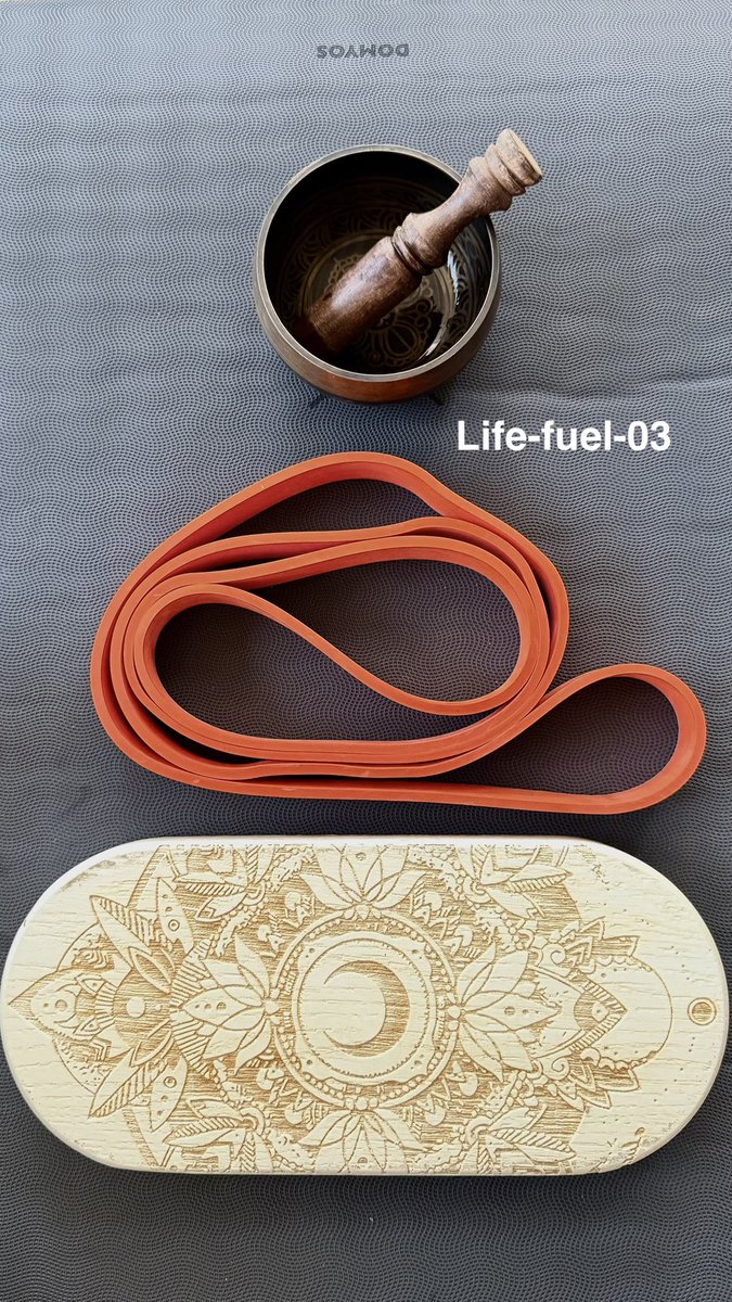 Lucy (✱,✱) tweet media