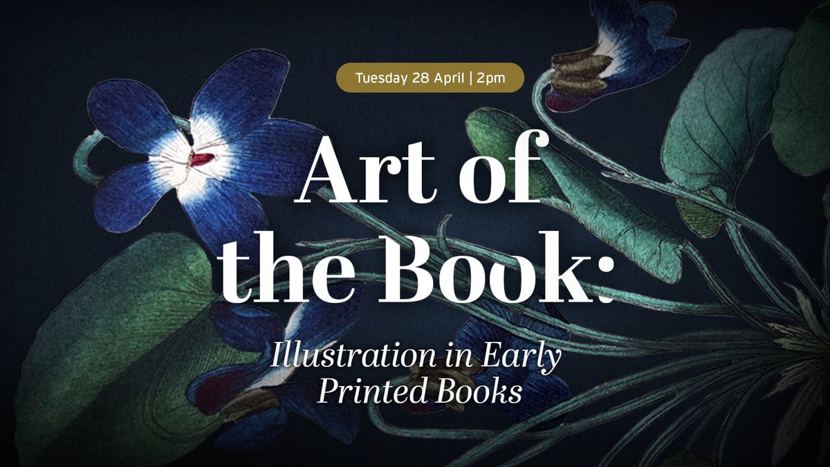 Exeter Cathedral tweet media