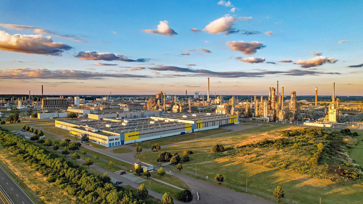 Pygoscelis tweet media