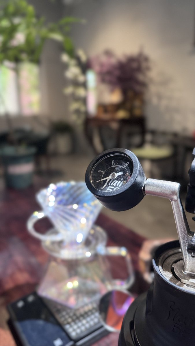 chengjianshao ❤️ Memecoin tweet media