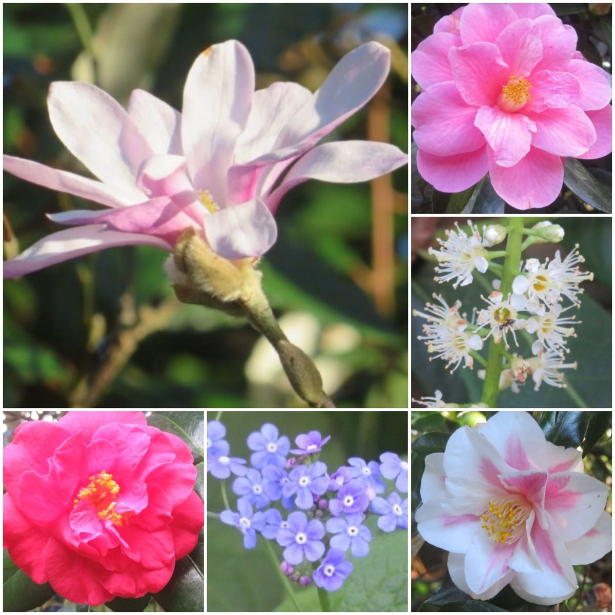 SunflowerSusi🦋🌻 tweet media