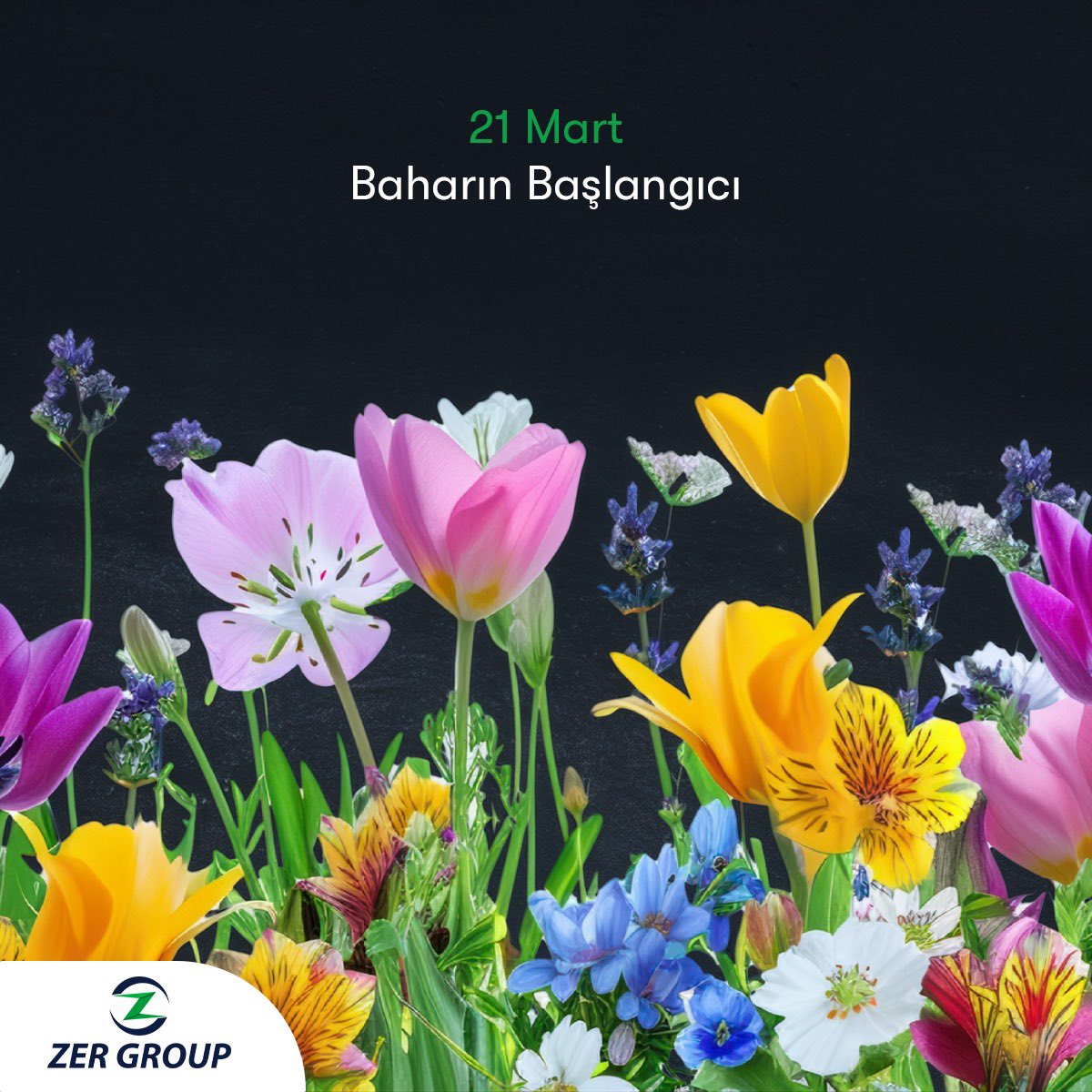 zerholding's tweet photo. Doğa uyanıyor, günler uzuyor ve yaşam yeniden canlanıyor. 🌱
Baharın gelişiyle birlikte, yenilenme ve tazelenme duygusunu paylaşıyor, tüm çalışanlarımız ve iş ortaklarımız için verimli, umut dolu bir mevsim diliyoruz.

#21Mart
#BaharınBaşlangıcı
#Yenilenme
#Doğa
#ZerGroup https://t.co/rz1xLm9rBw