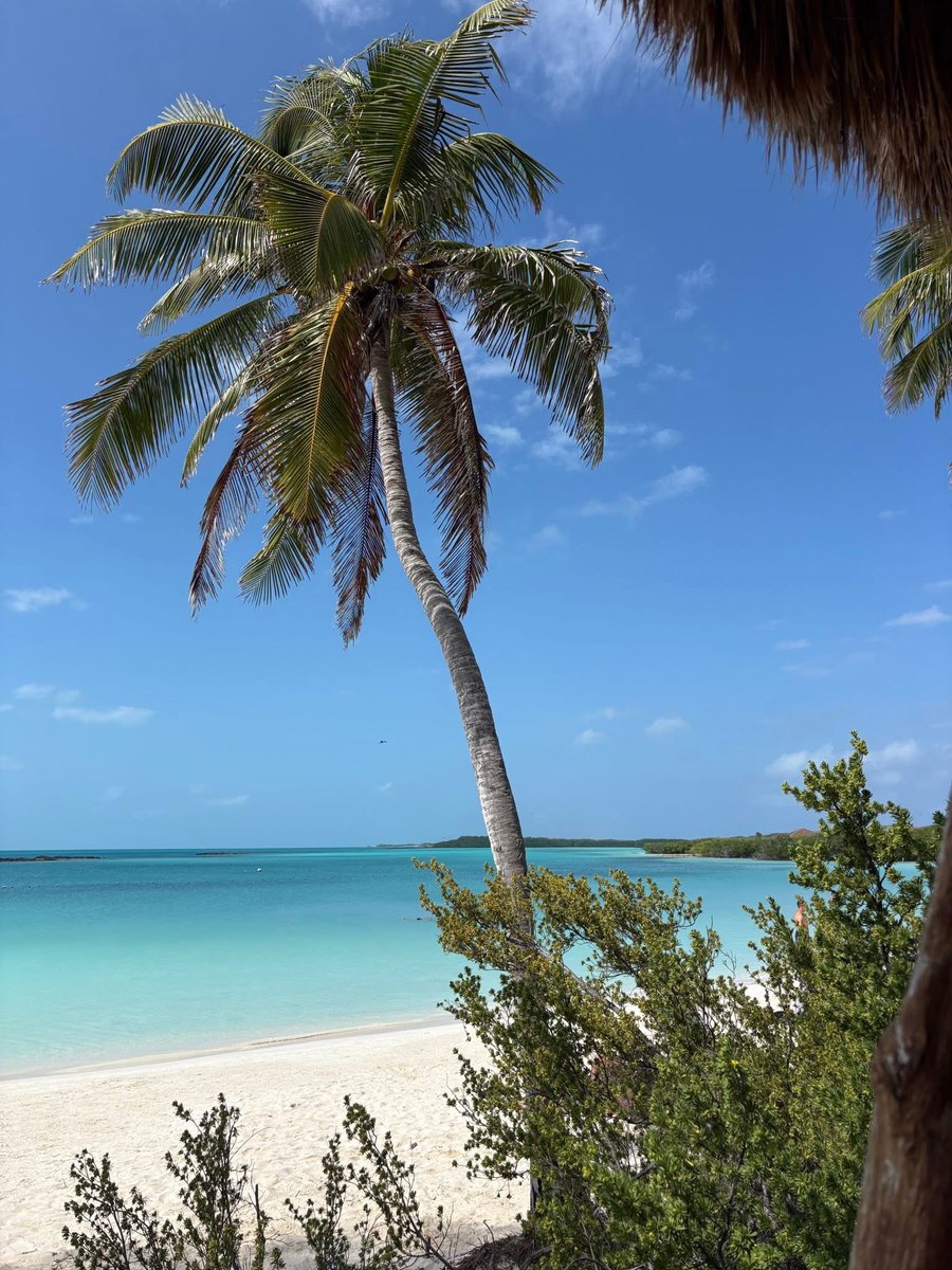 Have a good weekend everyone ✨💕