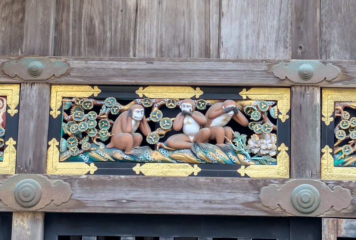 Rucy9🐈 tweet media