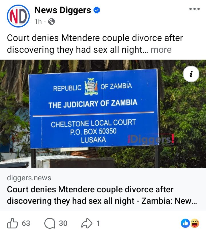 plant a tree 🌱 tweet media