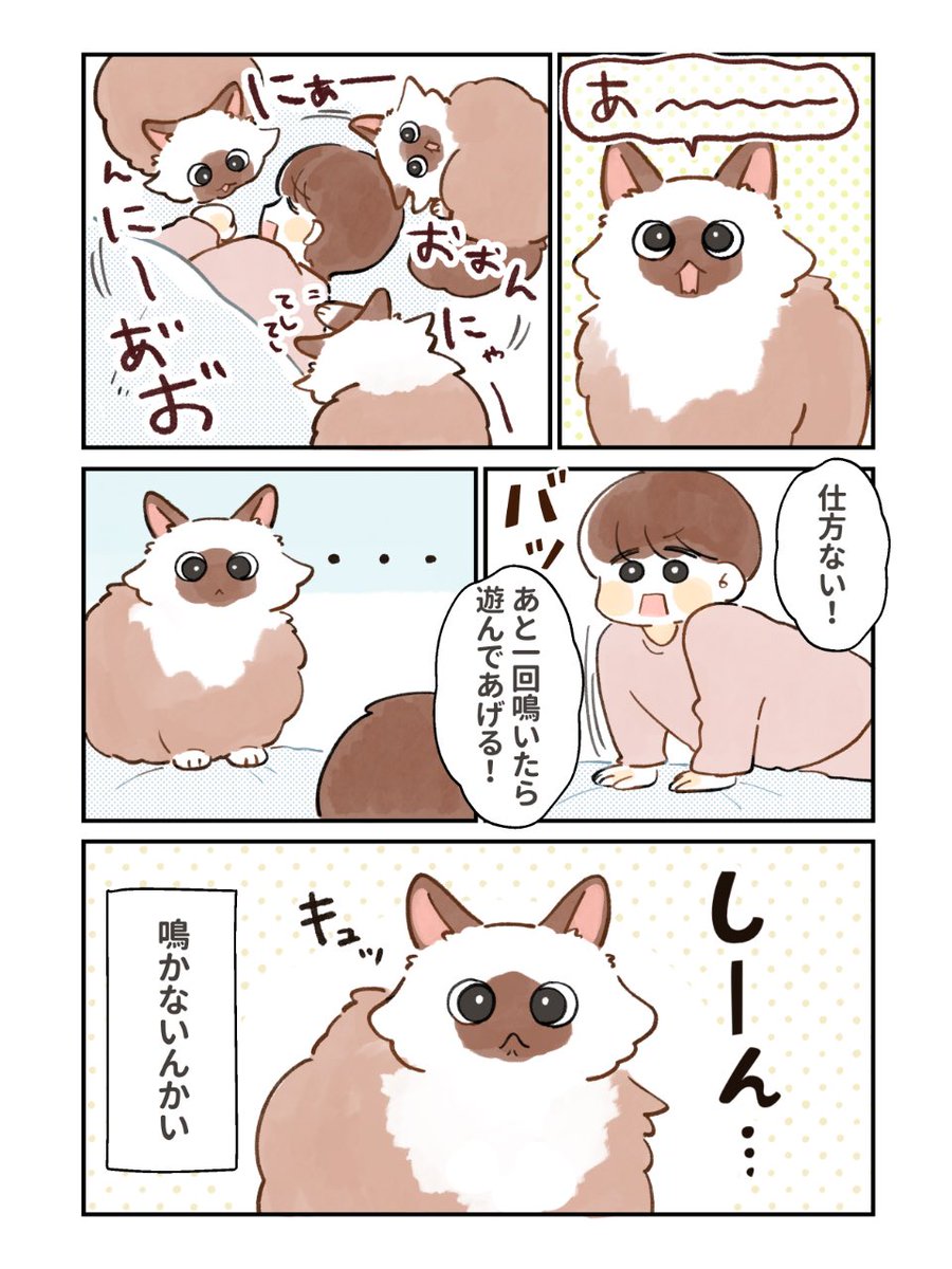 roachan_okoge's tweet photo. 気まぐれな子…
#ねこまんが https://t.co/GOTrKKvBIw