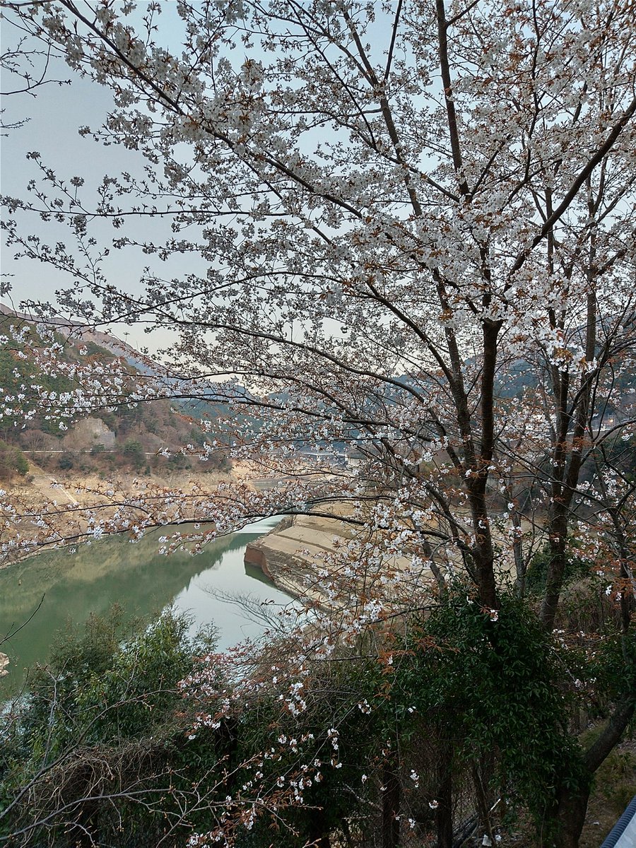 Masakuni Kimura tweet media