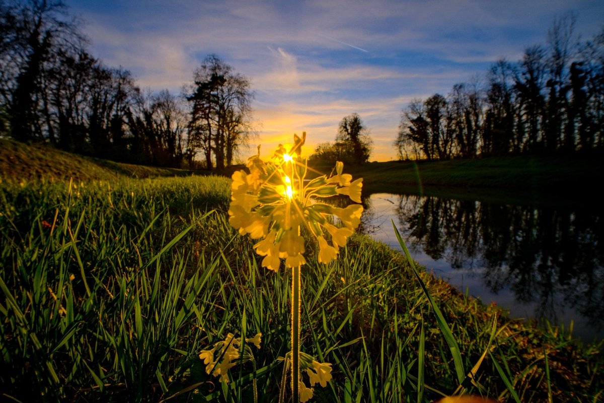 Préfet de la Haute-Saône tweet media