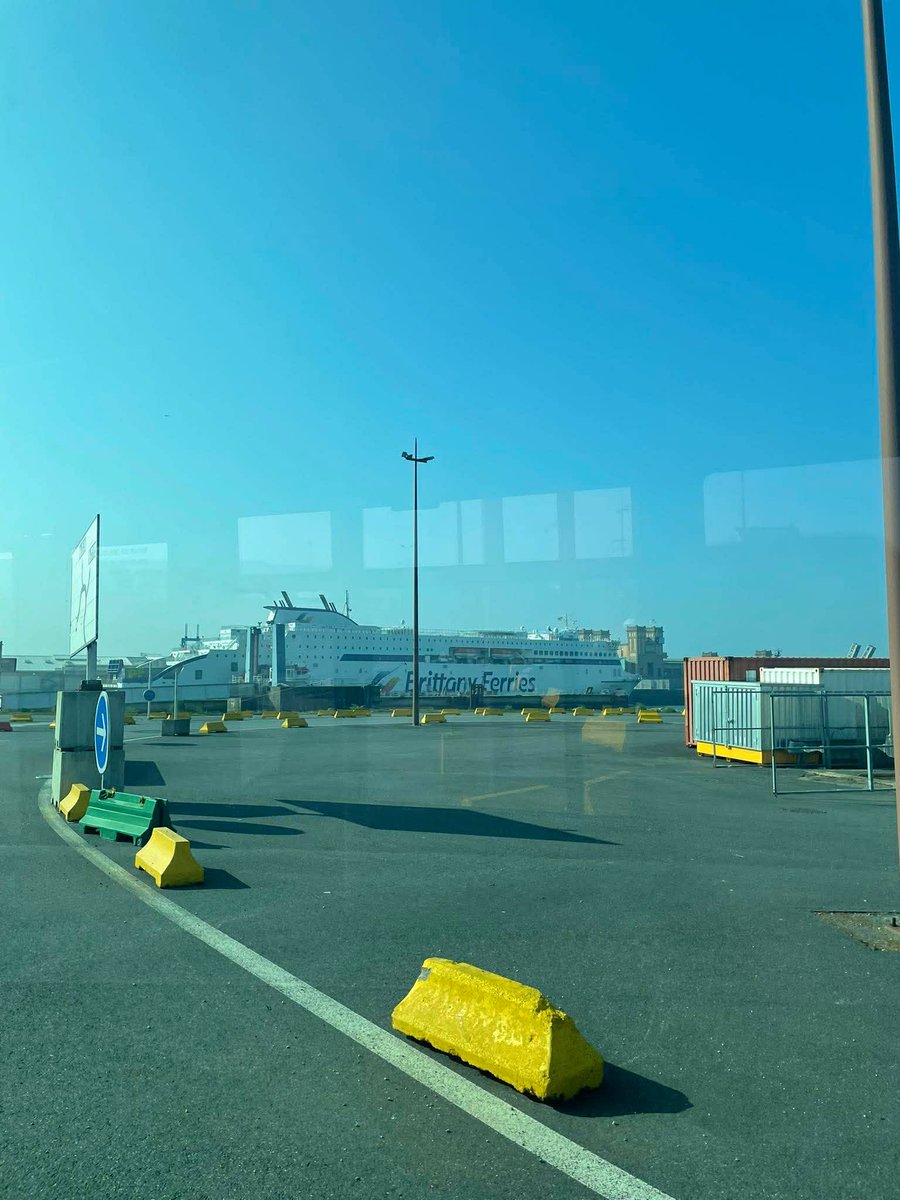 Lyra 🌻 tweet media