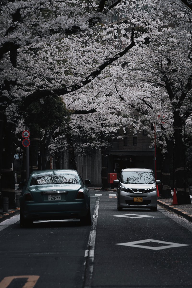 Shuncha / Shunya Takabayashi tweet media