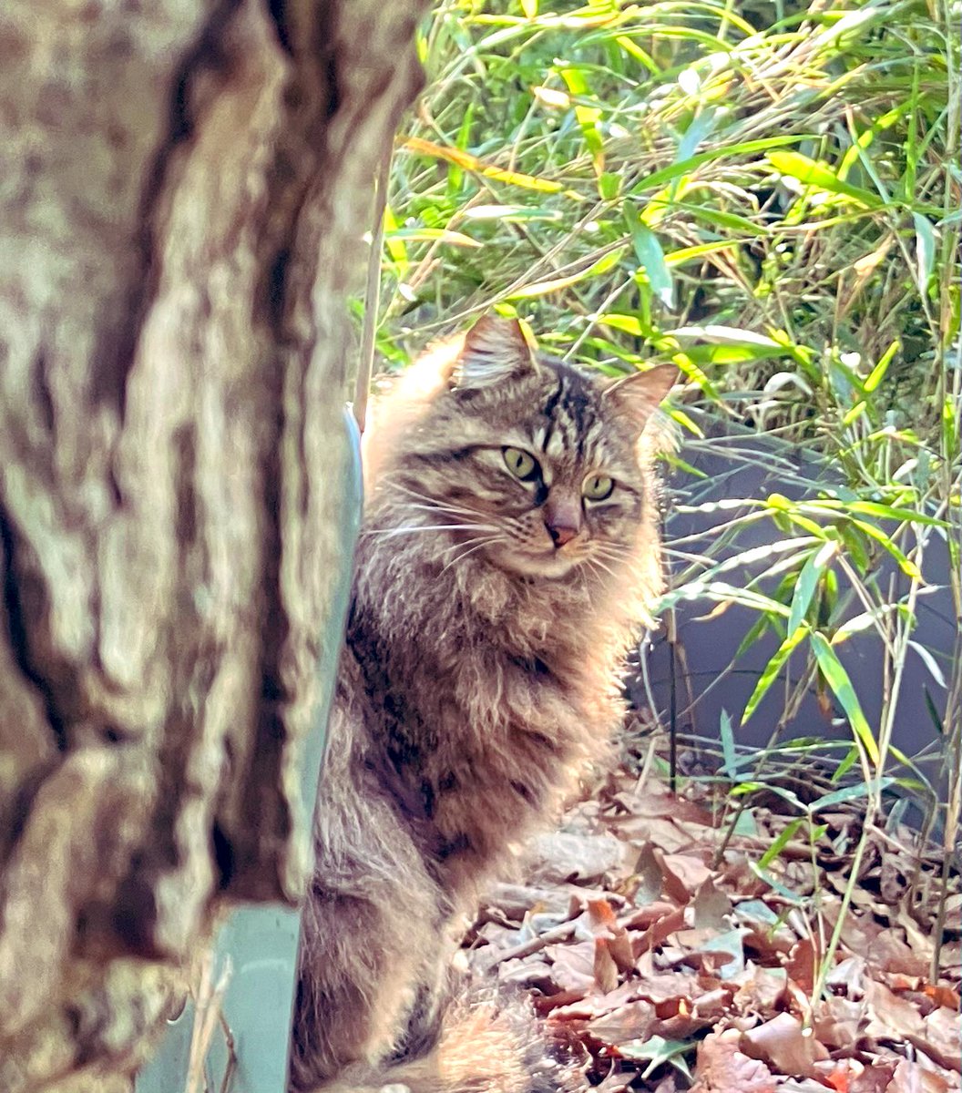 momo🍑 tweet media