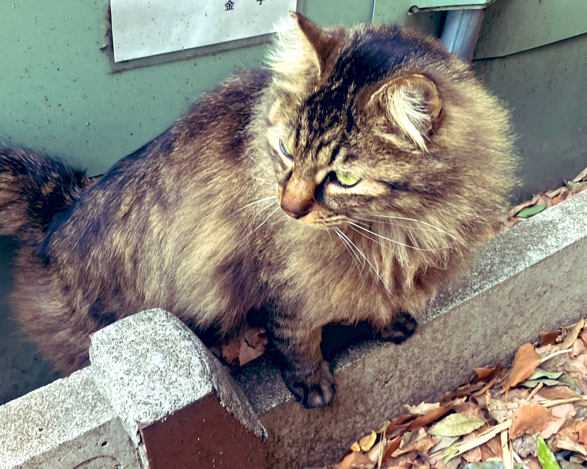 momo🍑 tweet media