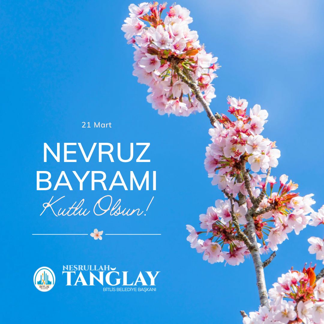 Nesrullah TANĞLAY 🇹🇷 tweet media