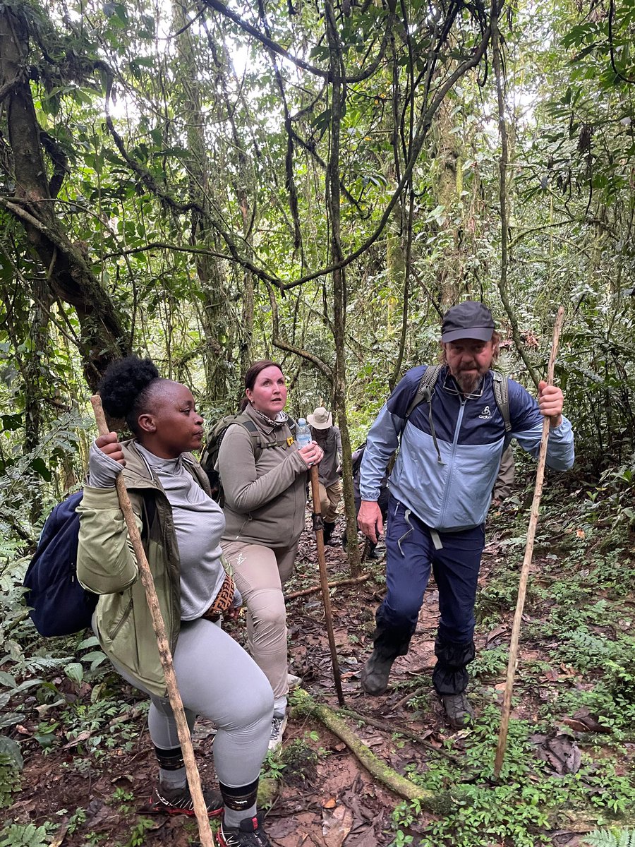 Bonnita🌻 tweet media