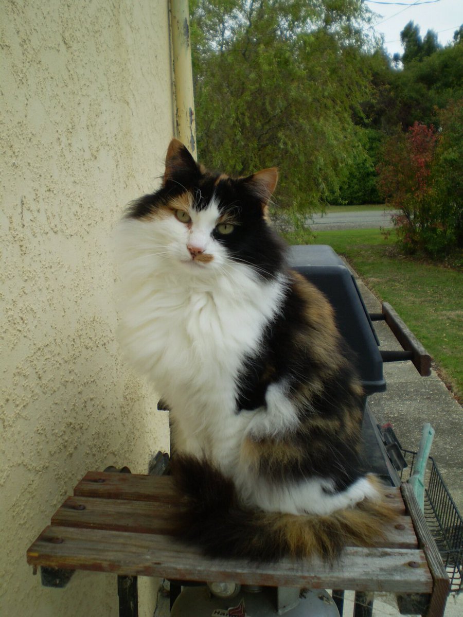 Saskia_1975 tweet media