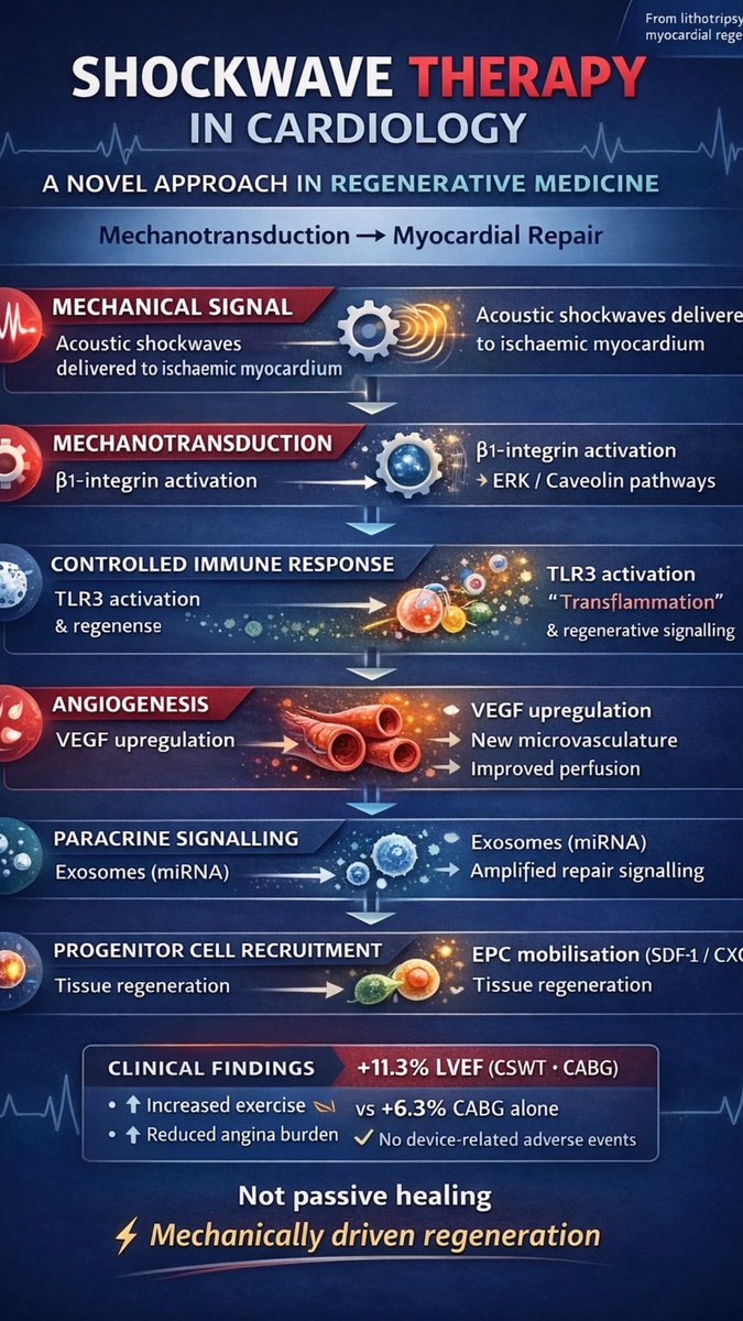 Helen How Edinburgh tweet media