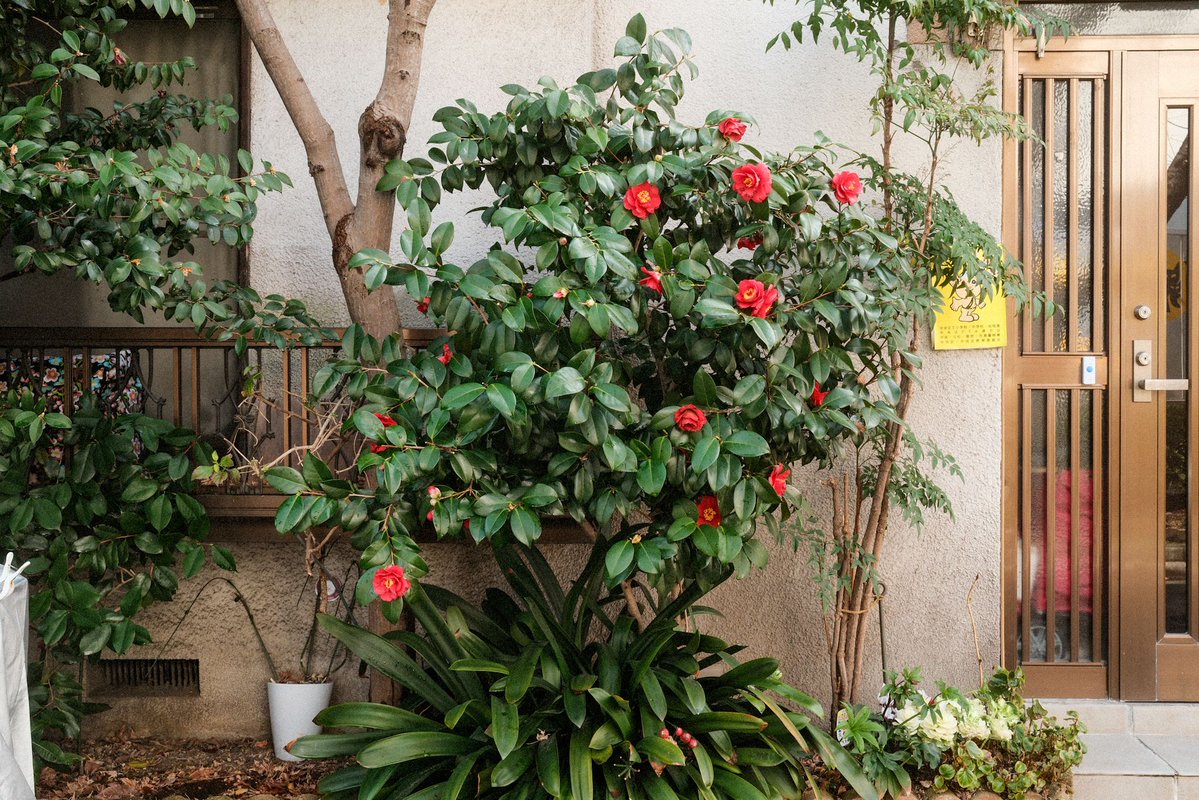 じるまん tweet media