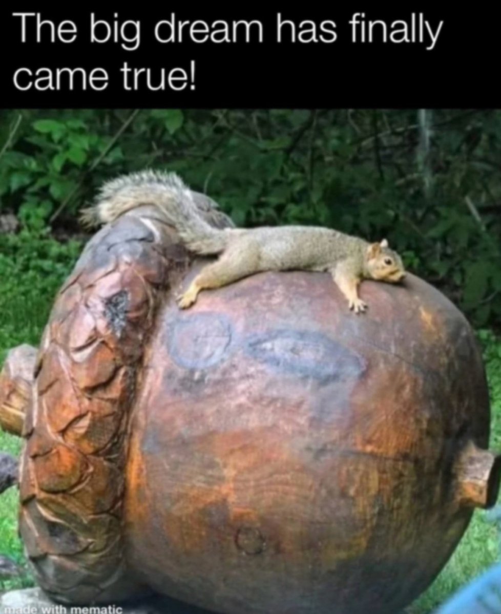 World's Amazing Things tweet media