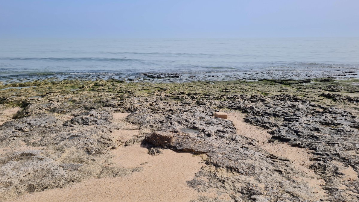 Songchai Chaipatiyut tweet media