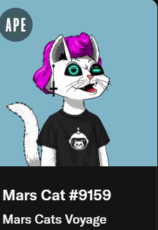FeStrydom's tweet photo. My Mars Cat-9159  also lives in ApeChain @MarsCatsVoyage @ApeChainHUB https://t.co/5YHleZEWcr