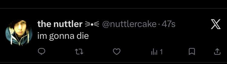 the nuttler ⚞•⚟ tweet media