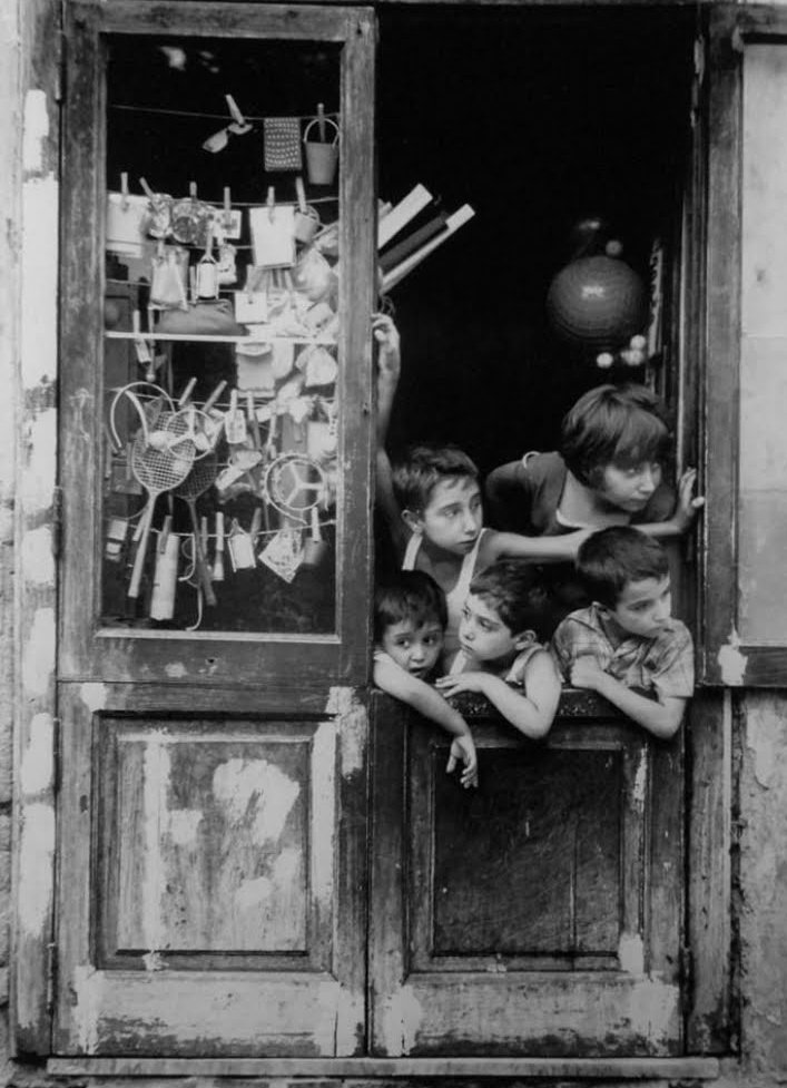 Lucilla Giannotti🧜 tweet media