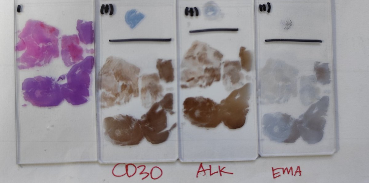 T.JeffLimMD tweet media